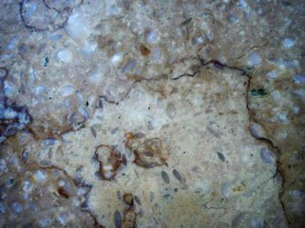 Costo-cristallizzazione-pavimenti-in-graniglia-Reggio-Emilia